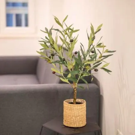 Apartament Canta *