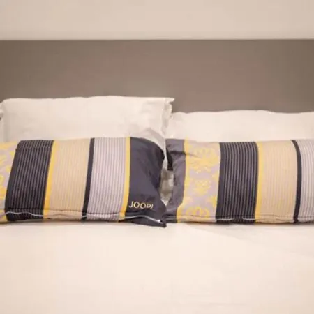 Apartament Canta *