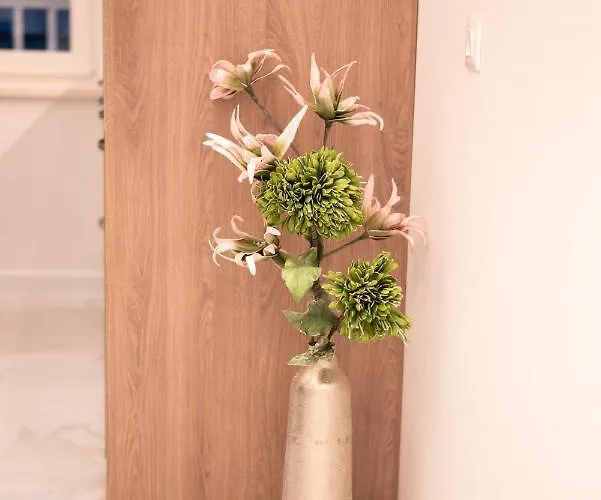 Canta Apartament